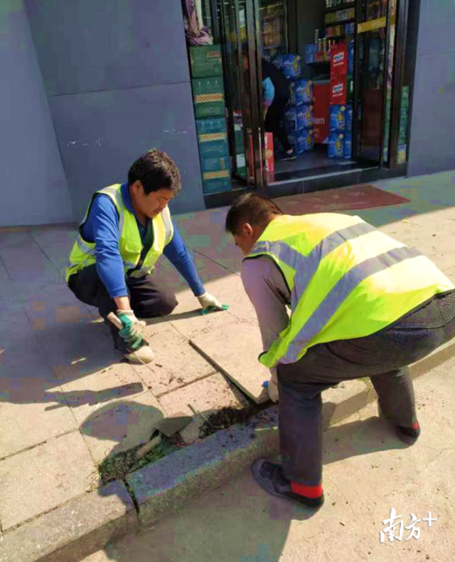 對(duì)北山路、南門(mén)大道等地段損壞路面進(jìn)行修復(fù)。