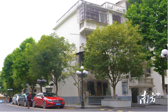 完成部分改造升級后的市政府生活區(qū)。張曉欣 攝