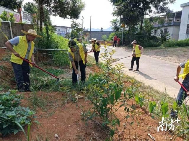 開展護綠行動。