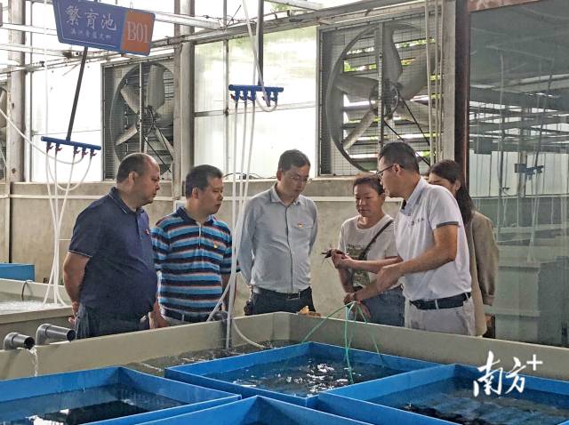 在畔水漁晟園了解特色產(chǎn)業(yè)發(fā)展情況。