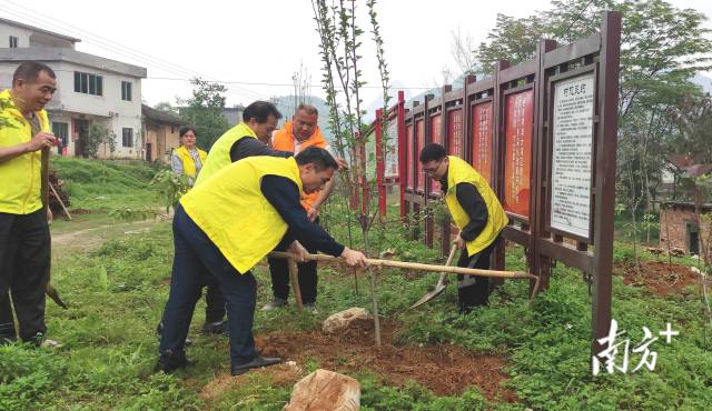 眾人齊心合力種樹(shù)。