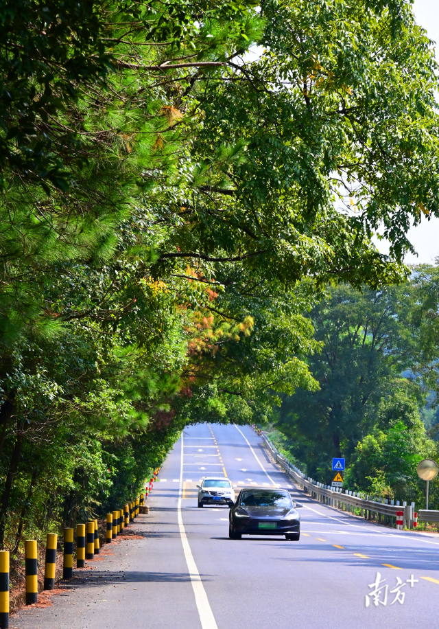 連州“四好農(nóng)村路”省級(jí)示范縣創(chuàng)建考核總分排全省第二。黃津 攝