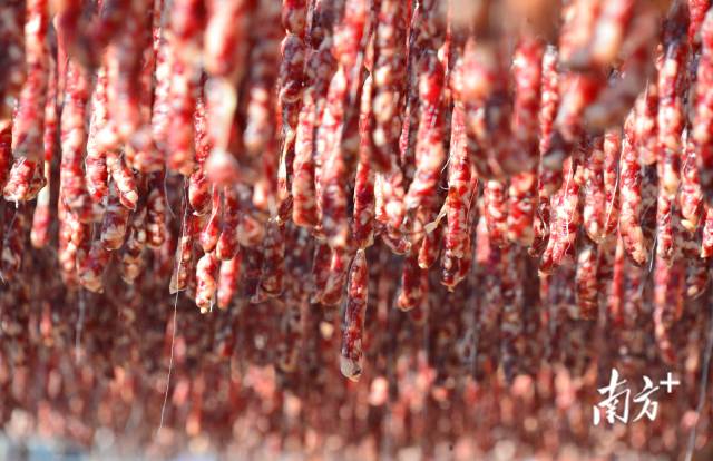 國家地理標(biāo)志保護(hù)產(chǎn)品東陂臘味。黃津 攝