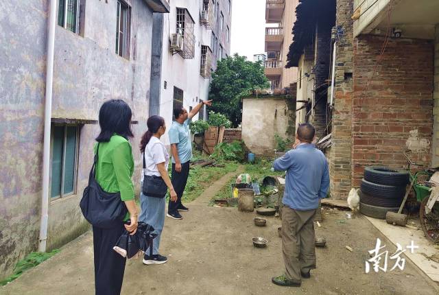 人大代表入戶走訪聽民聲。