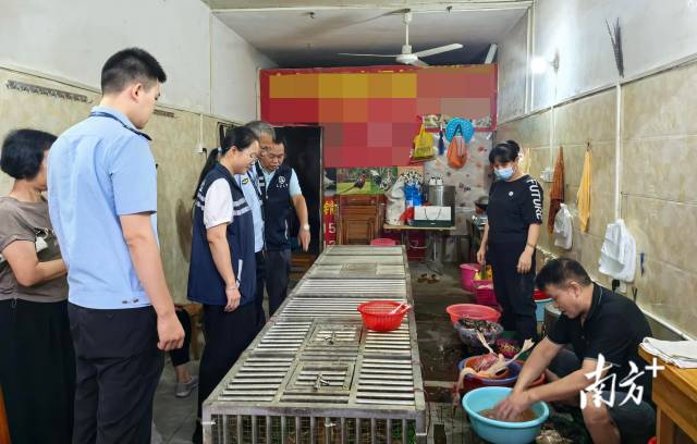 開(kāi)展聯(lián)合檢查，為鳥(niǎo)類等野生動(dòng)物撐起堅(jiān)實(shí)的“保護(hù)傘”。