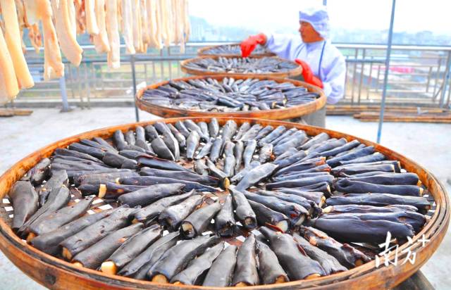 東陂鎮(zhèn)全力把東陂臘味申報為國家級非物質(zhì)文化遺產(chǎn)。黃津 攝