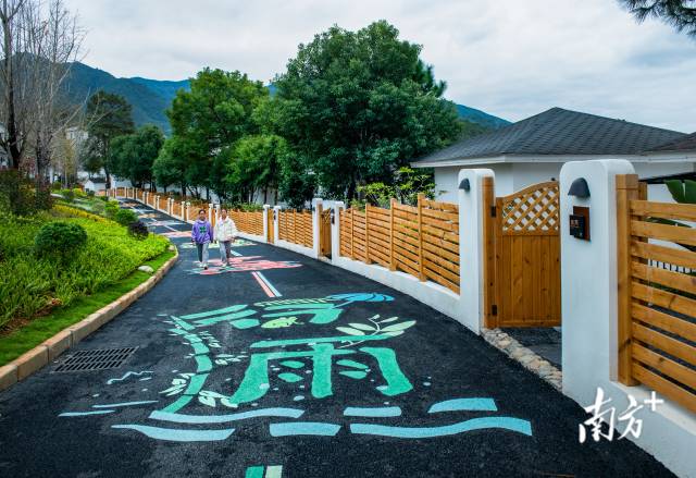 西岸鎮(zhèn)高標(biāo)準(zhǔn)推進(jìn)“古村之尚 古今共悅”古村落活化利用項目。吳秋偉 攝