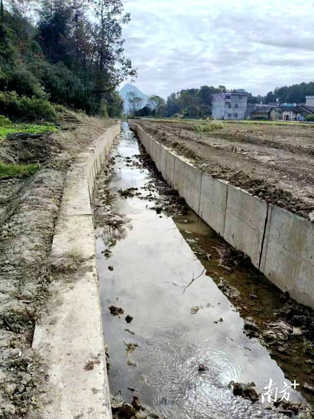 清淤前的渠道。楊鈞著 攝