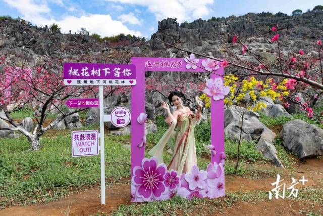 連州正以滿山桃色，向八方游客發(fā)出春日邀請。愛地旅游 供圖